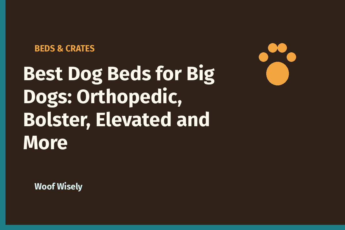 Best Dog Beds for Big Dogs: Orthopedic, Bolster, Elevated and More