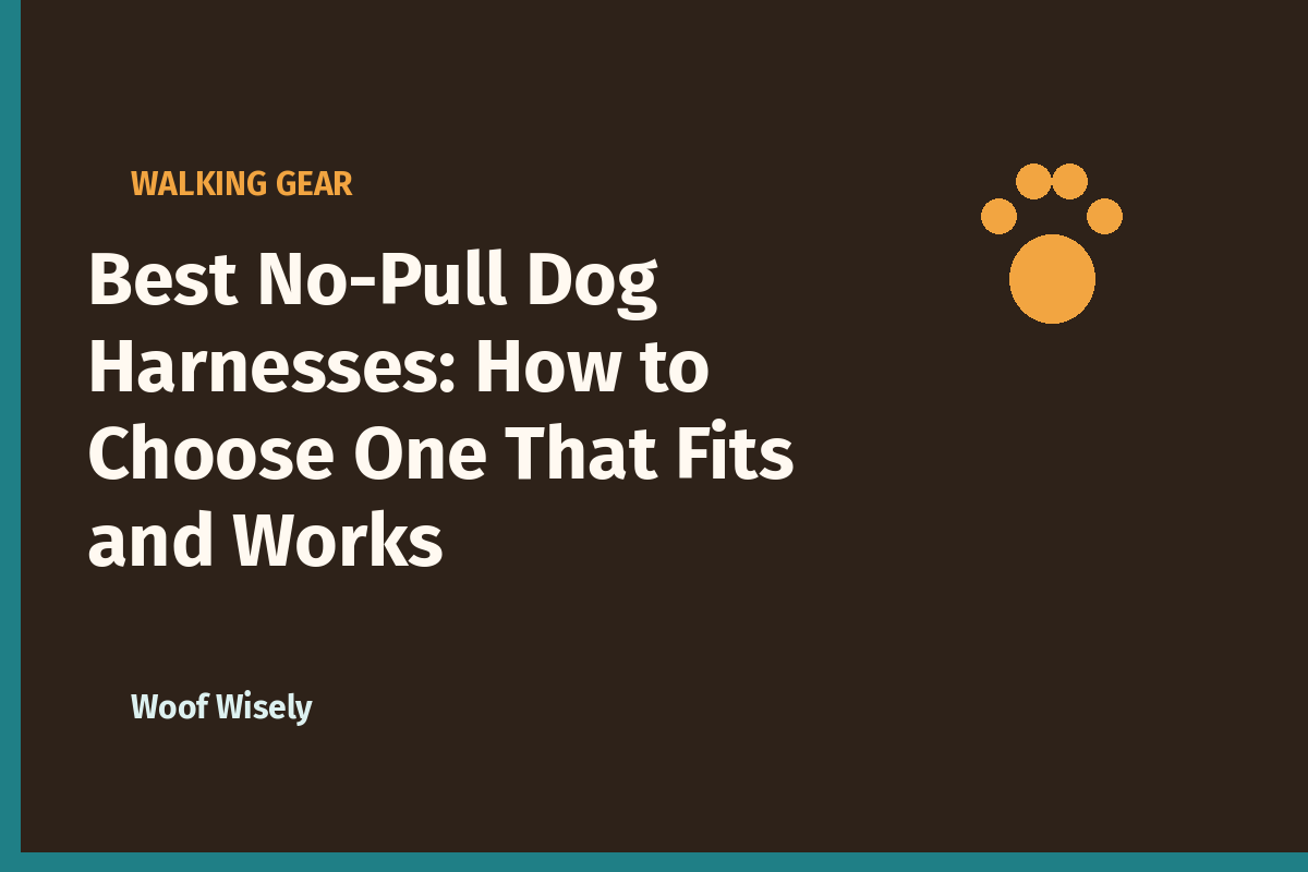 Best No-Pull Dog Harnesses: How to Choose One That Fits and Works