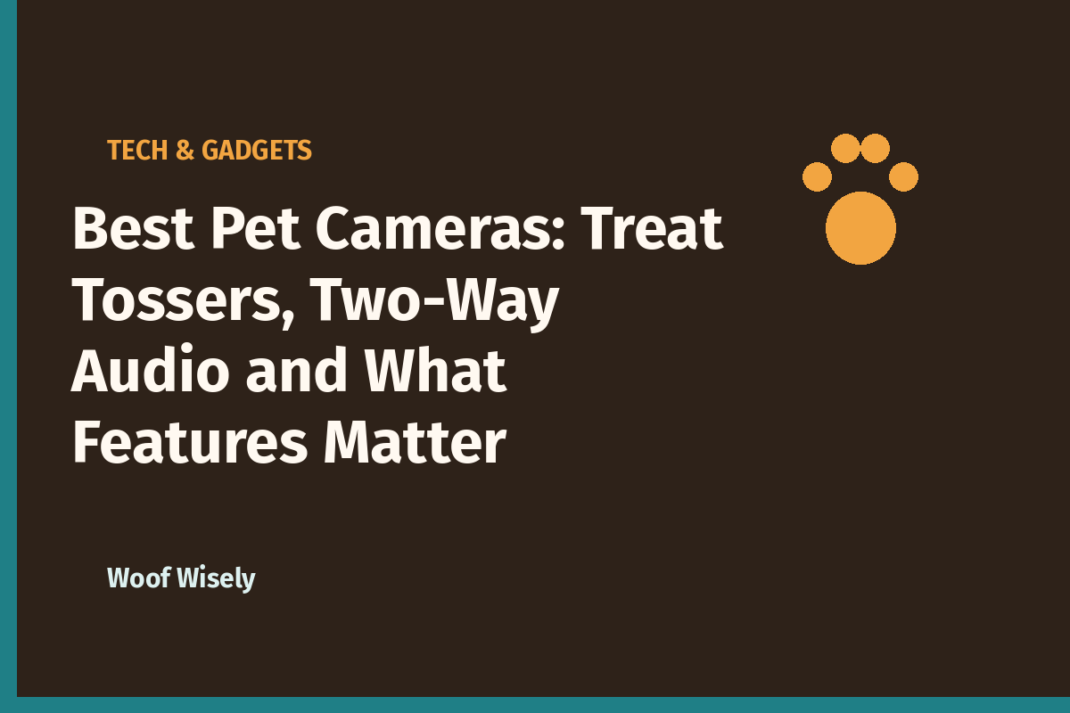 Best Pet Cameras: Treat Tossers, Two-Way Audio and What Features Matter