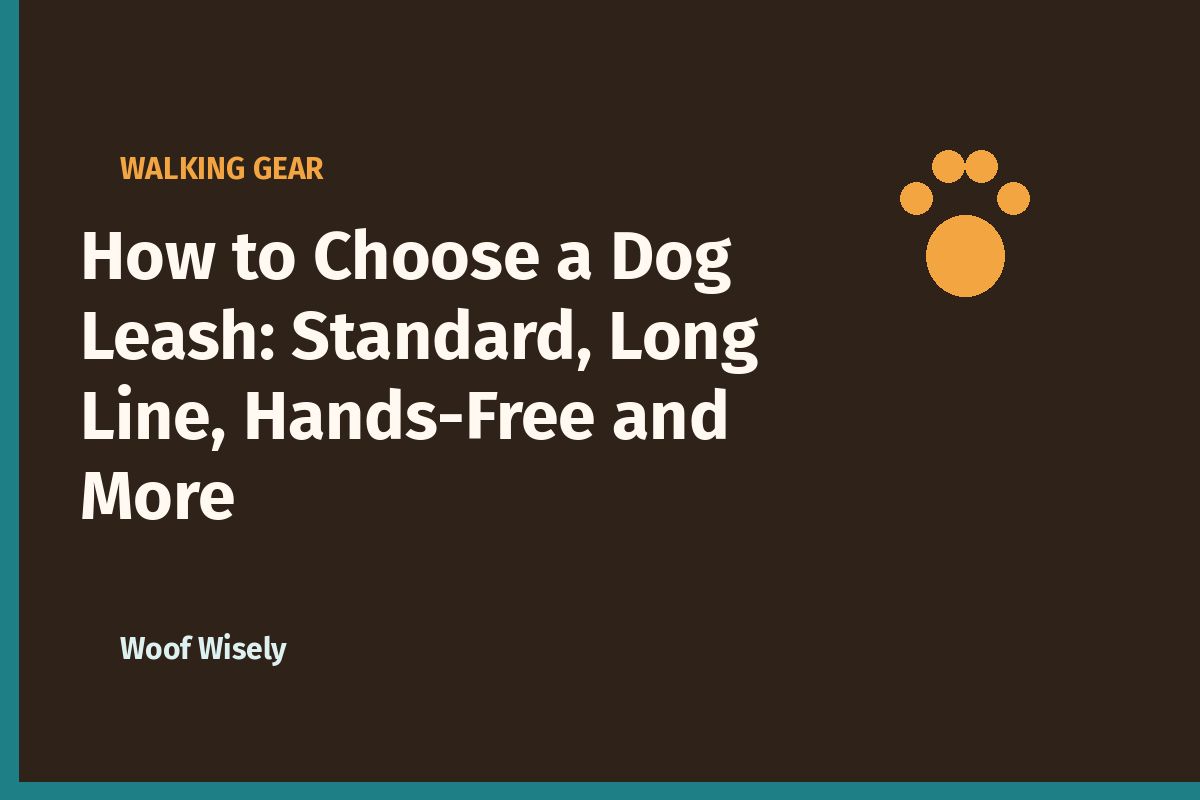 How to Choose a Dog Leash: Standard, Long Line, Hands-Free and More