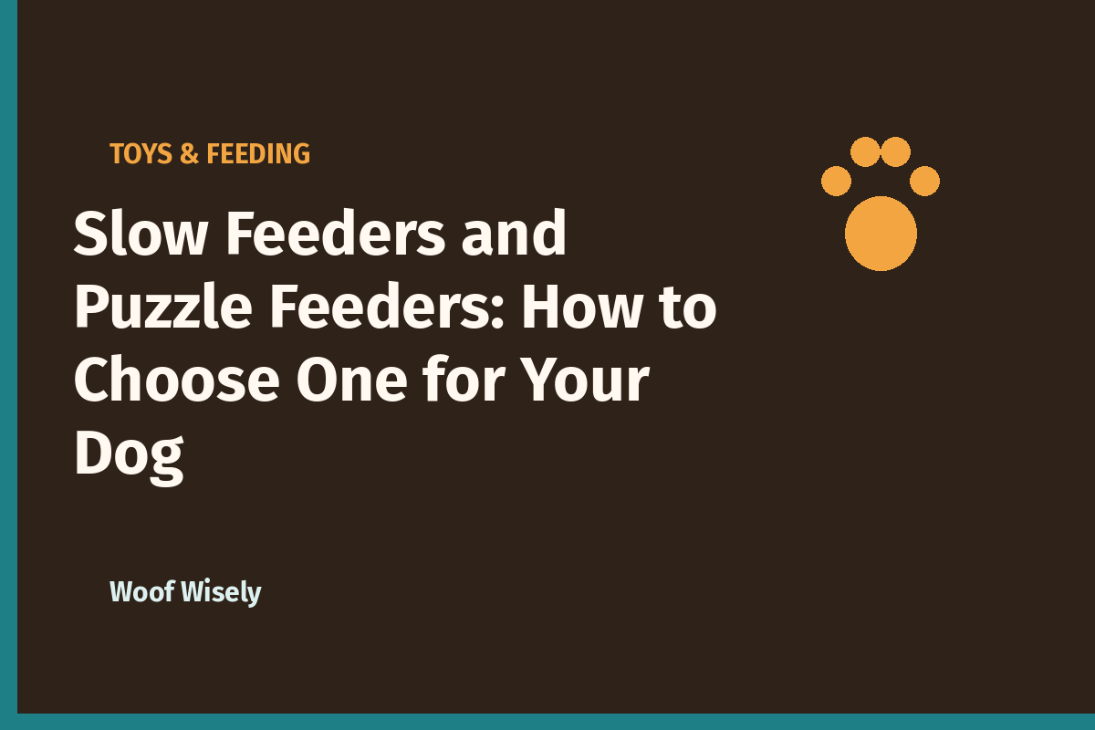 Slow Feeders and Puzzle Feeders: How to Choose One for Your Dog